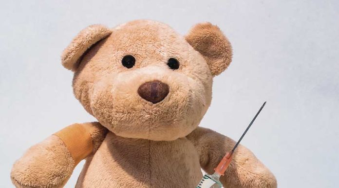 Utilização de antibióticos sem prescrição em animais de companhia é preocupante