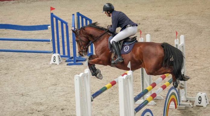 Francisco Fleming ganha o Grande Prémio no CEIA