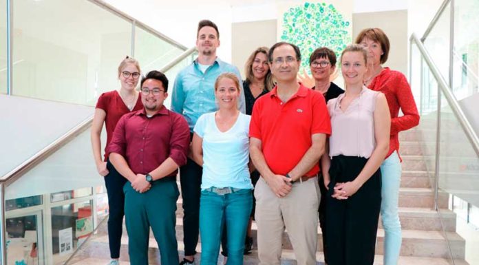 Professores alemães estiveram em formação no Bombarral