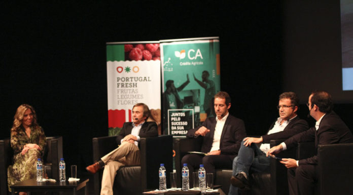 Concentração de produtores pode aumentar competitividade nas exportações de fruta