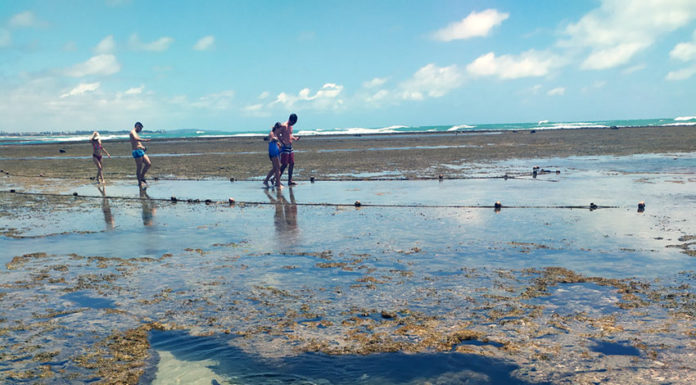 Jornais centenários do Brasil e de Portugal com exposição inaugurada no Recife