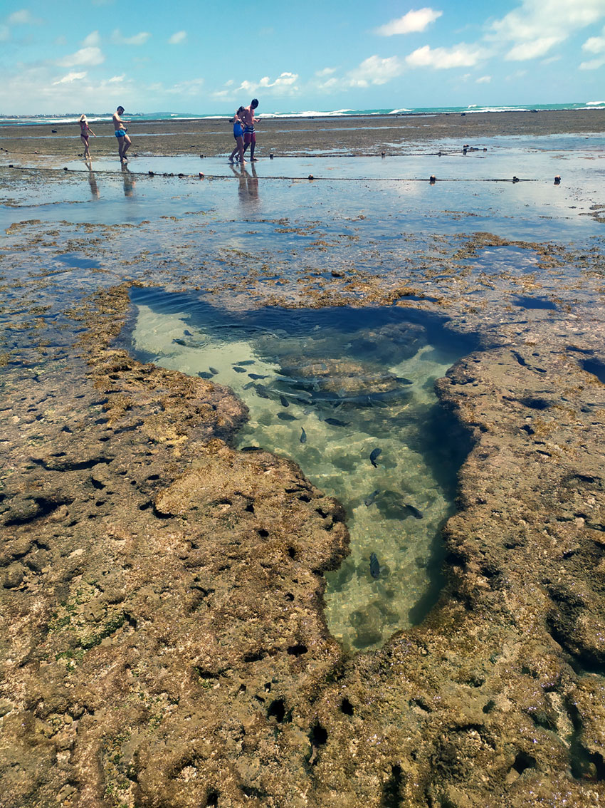 Jornais centenários do Brasil e de Portugal com exposição inaugurada no Recife