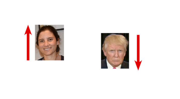 A semana do Zé Povinho