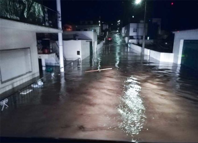 1-Captura-de-ecrã-2019-12-22,-às-11.02