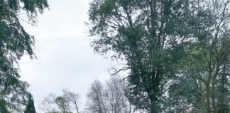 Rio Maior acolheu o primeiro Encontro de Escultura em Pedra