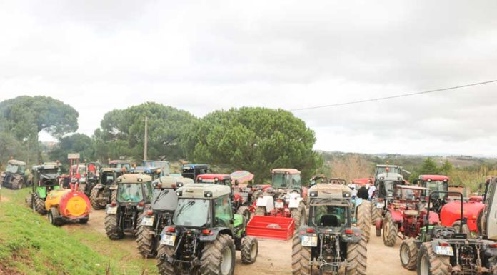 Primeira concentração de tractores dos Vidais juntou mais de 50 participantes