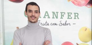 Empresa com sede em Óbidos iniciou produção de abacate para a Europa