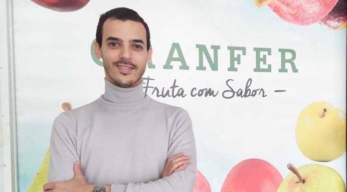 Empresa com sede em Óbidos iniciou produção de abacate para a Europa