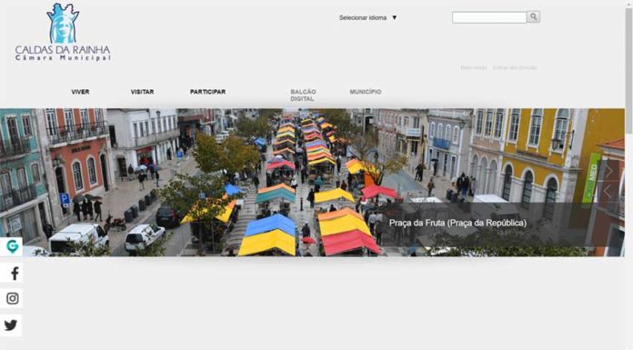 Torres Vedras e Arruda dos Vinhos entre os concelhos com melhor presença na Internet