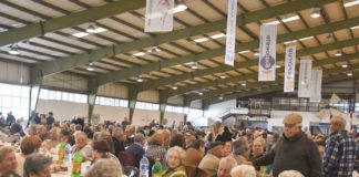 Espírito natalício animou mais de 1500 idosos nas Caldas