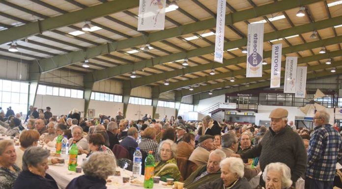 Espírito natalício animou mais de 1500 idosos nas Caldas