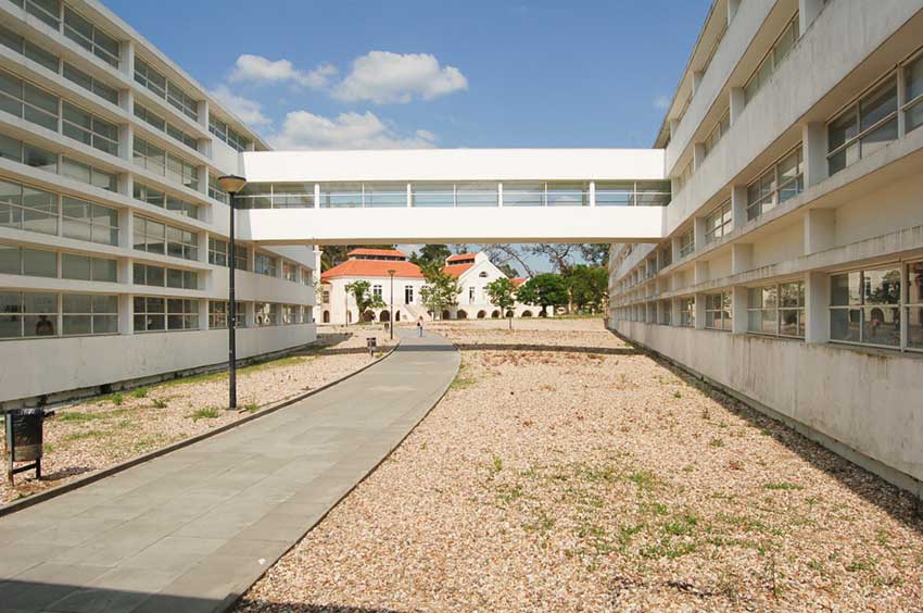 No Natal acolha um estudante internacional