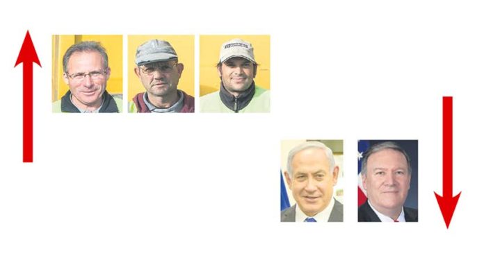 A semana do Zé Povinho