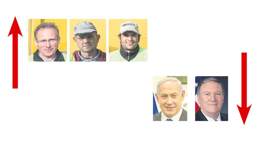 A semana do Zé Povinho