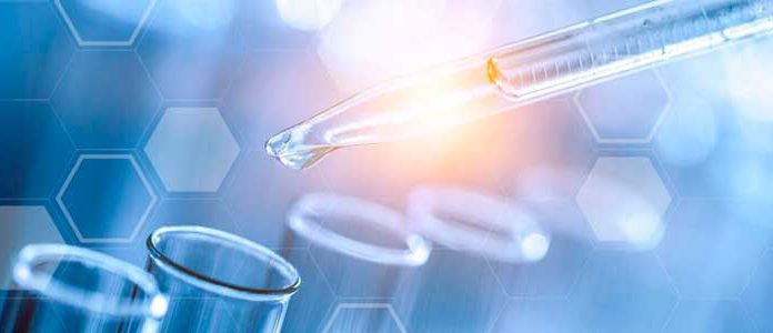 Coronavírus: Profissionais de lares e apoio domiciliário estão a ser testados