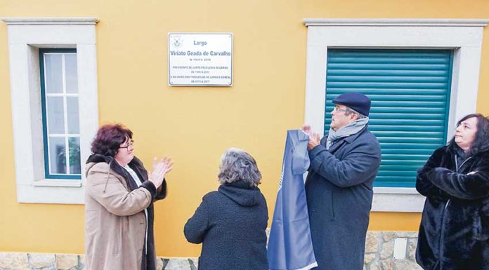 Câmara do Cadaval investe para que “todas as habitações tenham pavimento à porta”