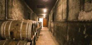 Adega Cooperativa da Lourinhã: um segredo envelhecido