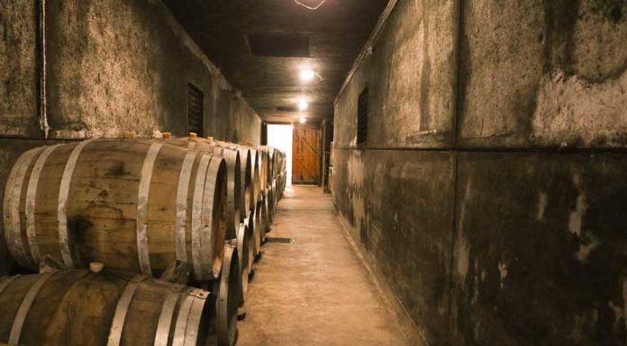 Adega Cooperativa da Lourinhã: um segredo envelhecido