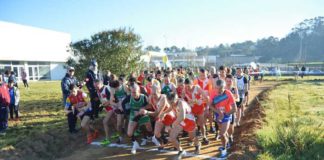 XVI Corta-Mato da Vila de Óbidos