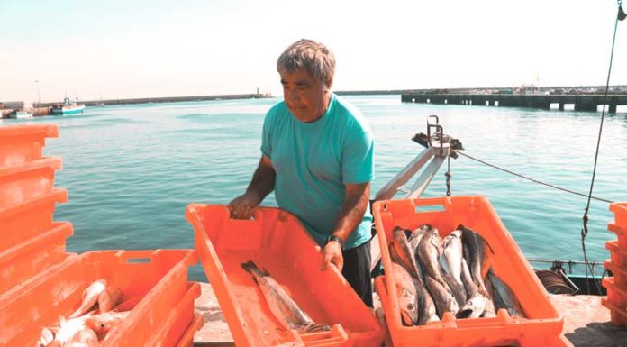 Peniche preserva liderança como a lota do país que mais comercializa pescado