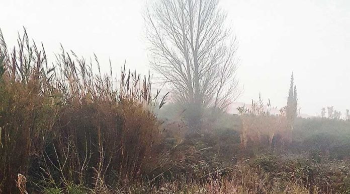 “The Winter is coming” Ned Stark Games of Thrones