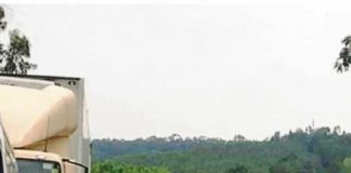 Marcada nova marcha lenta para o IC2 entre a Benedita e Aveiras