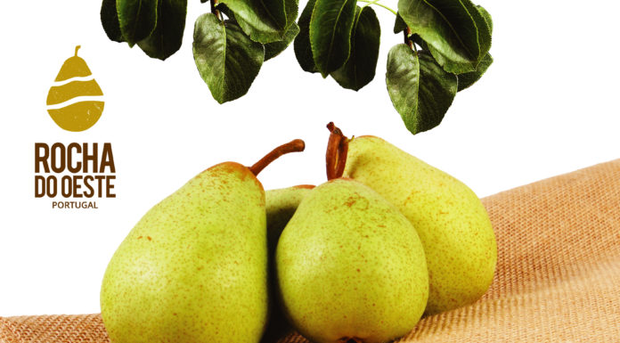 Exportação de Pera Rocha do Oeste cresce 16%