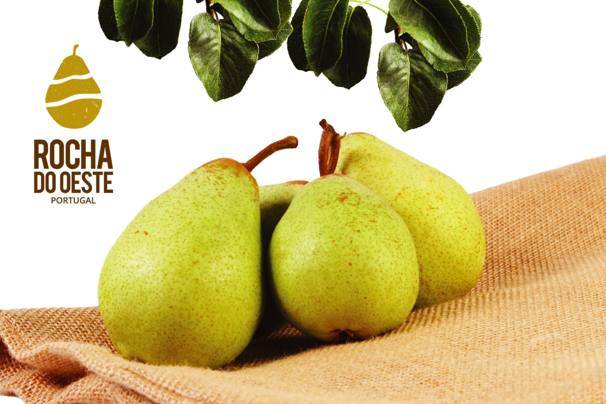 Exportação de Pera Rocha do Oeste cresce 16%