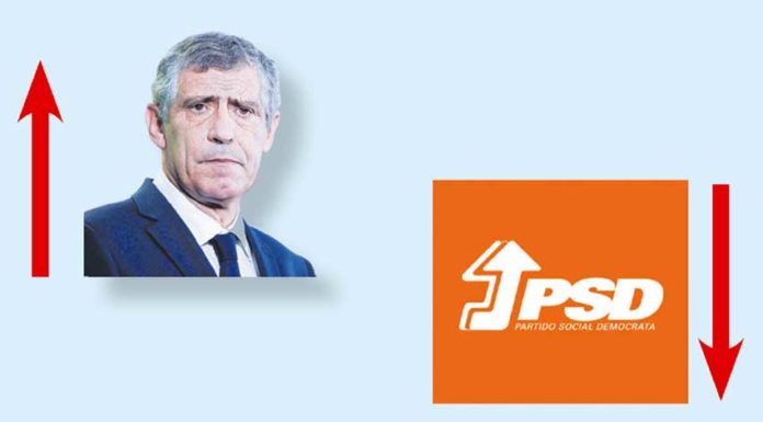 A semana do Zé Povinho