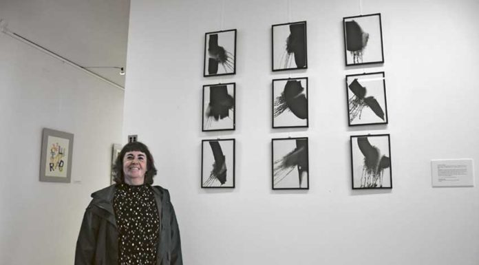 Ilustração de Dulce Nunes no Turismo