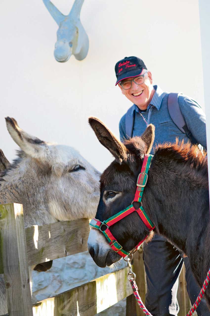 Holandês veio viver para Salir do Porto  e fez dos burros companheiros de uma vida