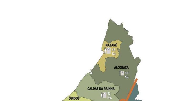 Reciclagem no Oeste sobe e Óbidos está quase no dobro da média nacional