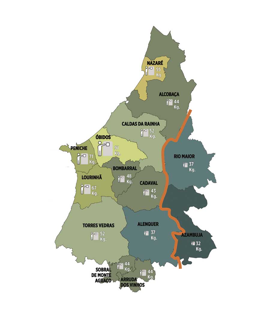 Reciclagem no Oeste sobe e Óbidos está quase no dobro da média nacional