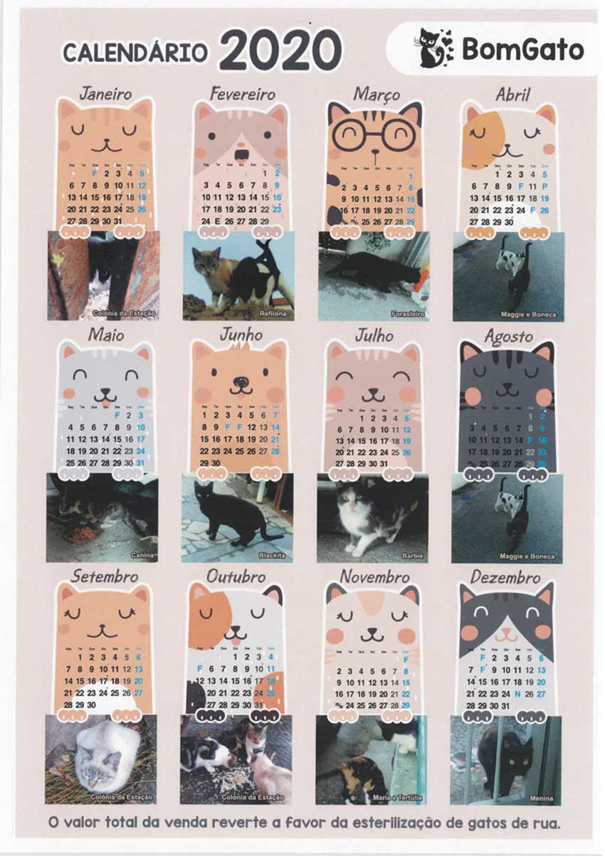 BomGato faz calendários para angariar fundos