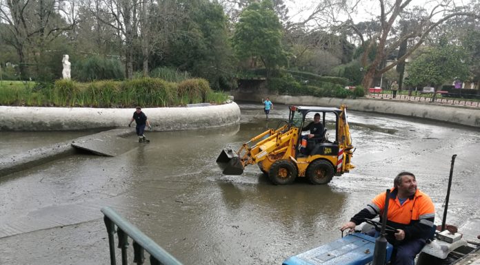 Limpeza do lago do Parque D. Carlos I