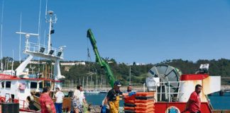 Governo quer regular pescas no pico Gonçalves Zarco