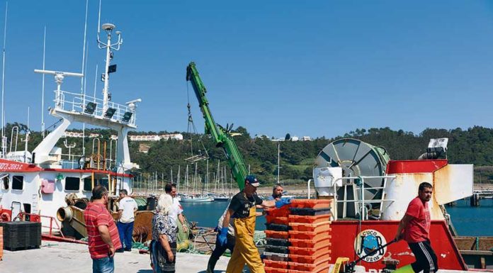 Governo quer regular pescas no pico Gonçalves Zarco