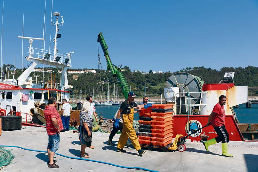 Governo quer regular pescas no pico Gonçalves Zarco