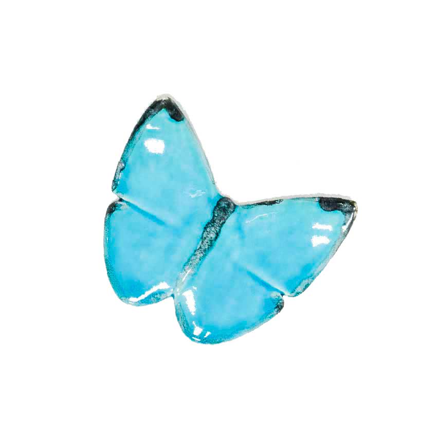 borboleta turquesa