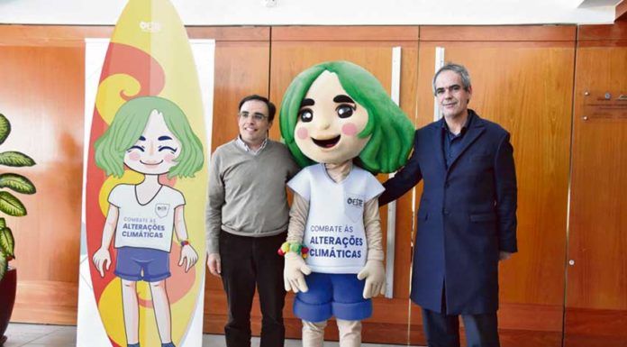 Oeste mostra-se como região verde na BTL