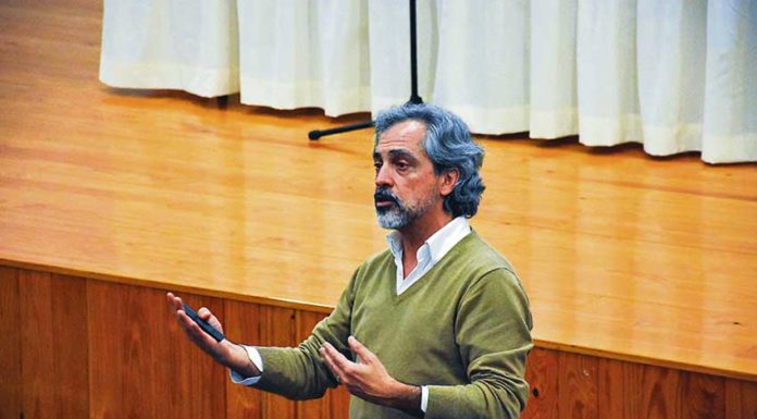 Psicólogo educacional defende que o modelo da escola actual não prepara os cidadãos de amanhã