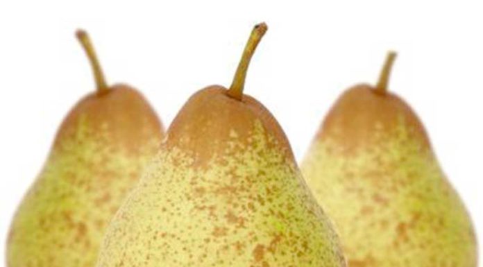 Exportação de Pera Rocha cresceu 16% no ano passado