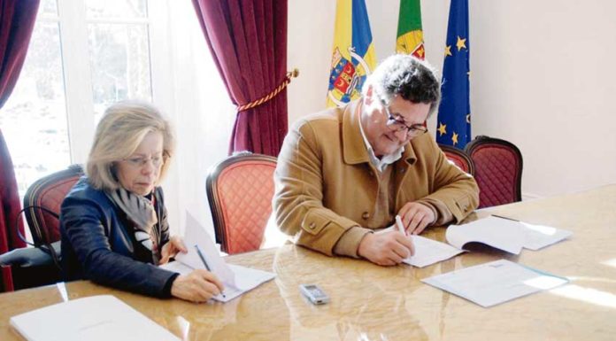 Medicamentos gratuitos para 100 famílias de Alcobaça