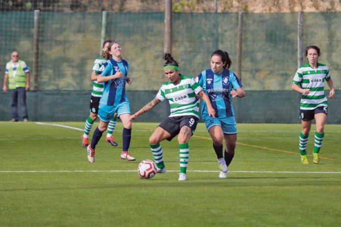 adosfrancos-carolina