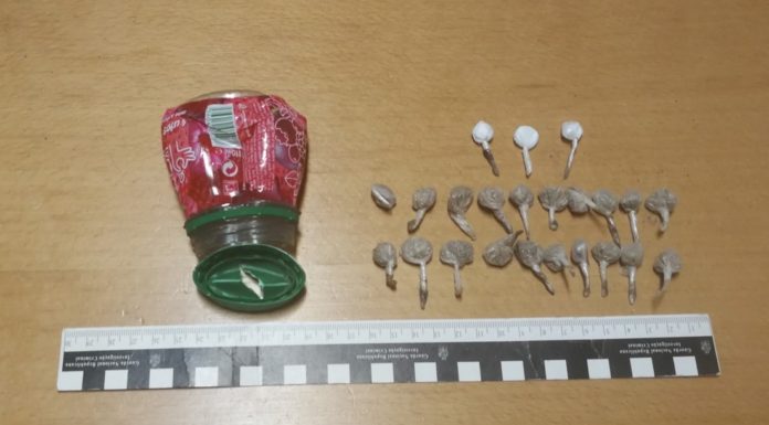 Homem detido em Óbidos por tráfico de estupefacientes