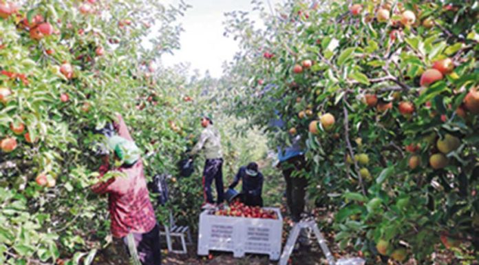 Organizações de produtores querem que as verbas do PDR 2020 sejam desbloqueadas