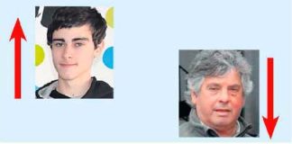 A semana do Zé Povinho