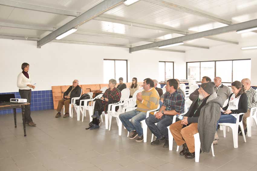 Amêijoa japonesa  vai ser estudada  na Lagoa de Óbidos