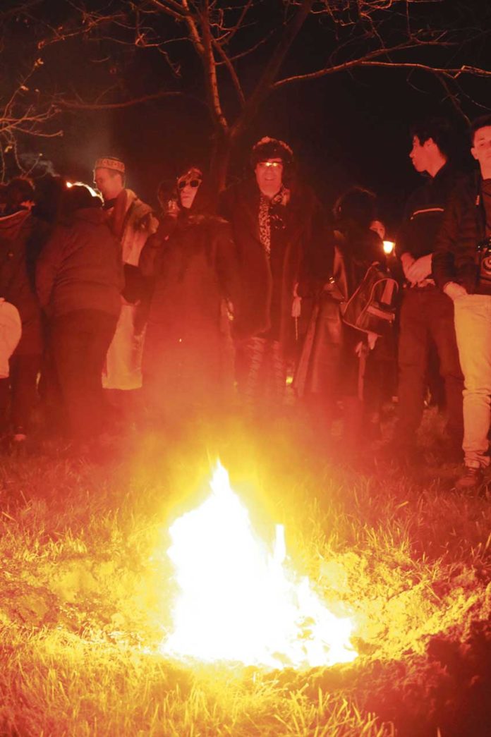 IMG_2685---Cópia_BOM