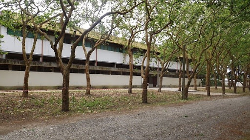 Coronavírus: Câmara das Caldas prepara dois hospitais de campanha